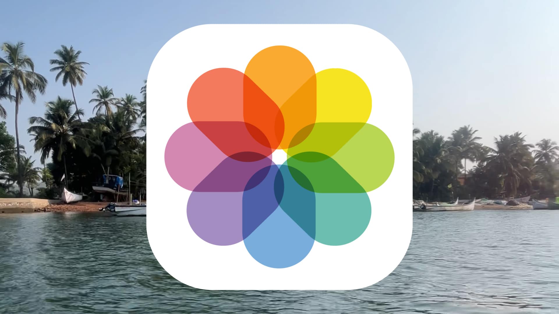 Photos Logo Animation